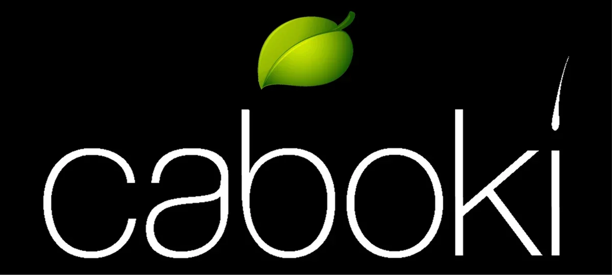 Caboki Hair Fibers